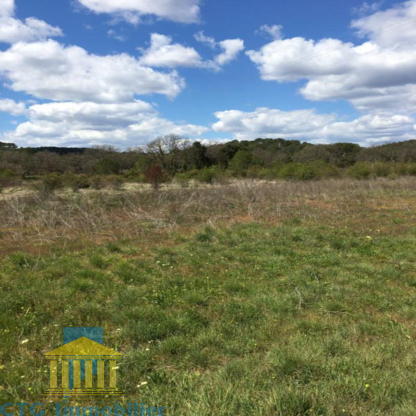 Offres de vente Terrain Cotignac 83570